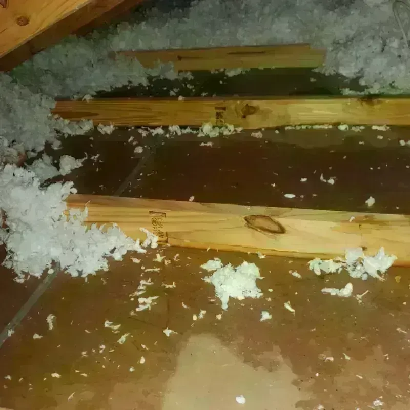 Attic Water Damage in Jesup, GA